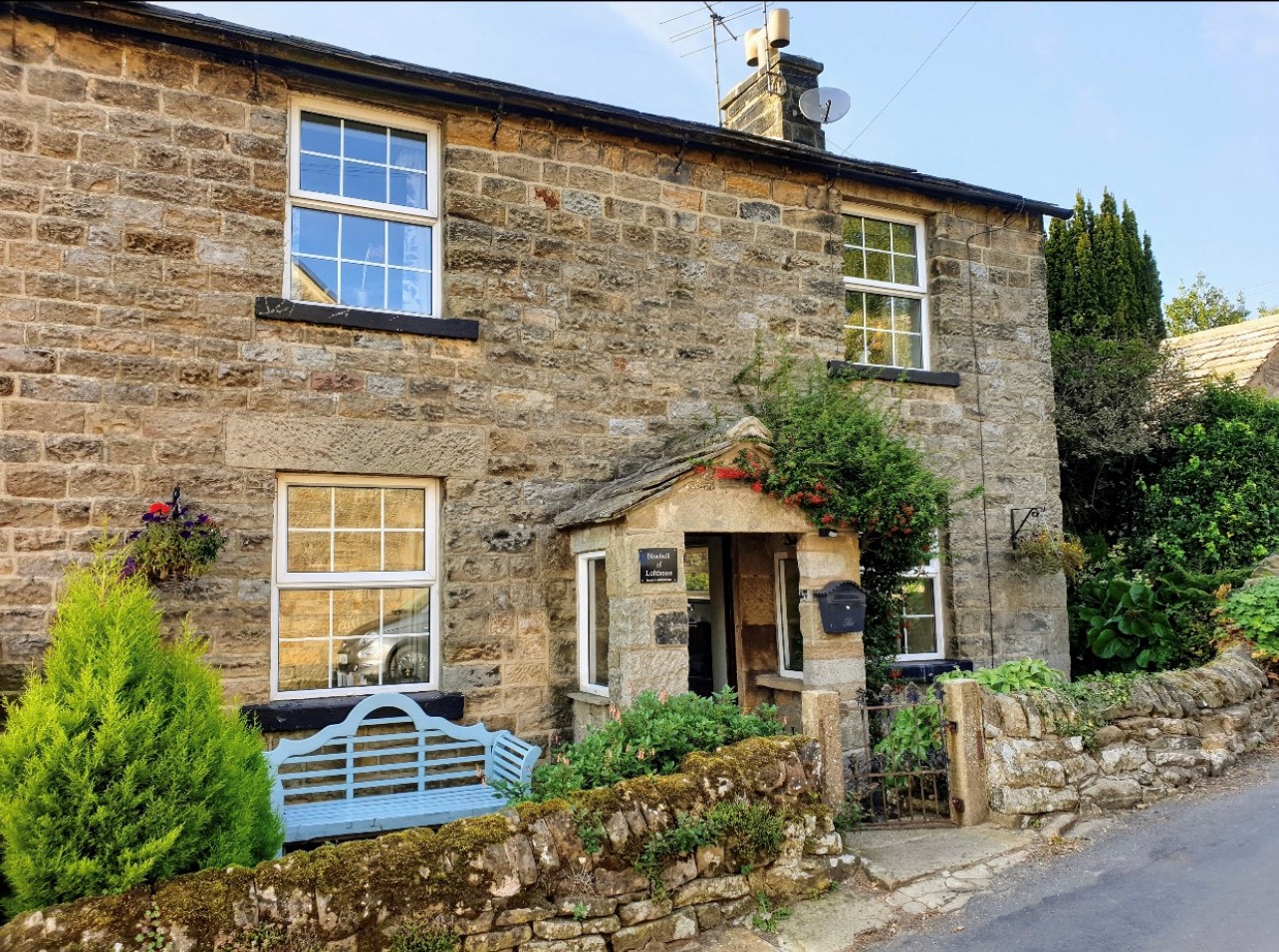 Bluebell of Lofthouse nidderdale